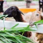 探索世界杯的精彩瞬间 - 看球吧