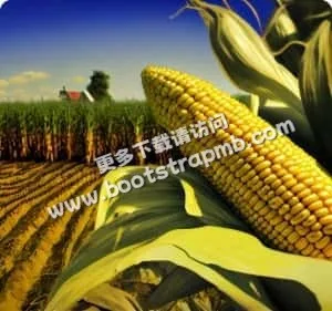 为全球球迷打造最专业、最便捷的世界杯观赛体验。 - 看球吧